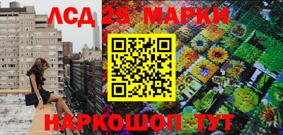 спайс Кинель