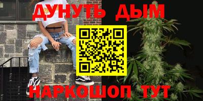 кокс Кингисепп