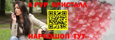кокс Кингисепп