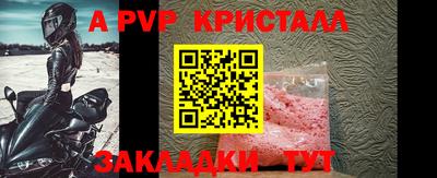 кокс Кингисепп