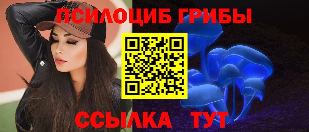 Псилоцибиновые грибы ЛСД Волхов